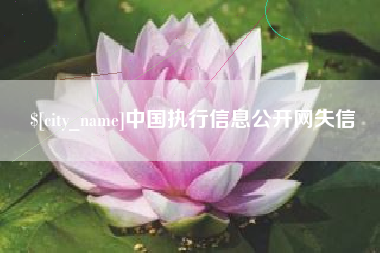 灌云中国执行信息公开网失信