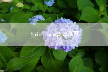 灌云2022九宫