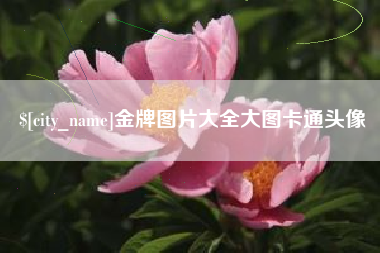 灌云金牌图片大全大图卡通头像