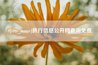 灌云执行信息公开网查询免费
