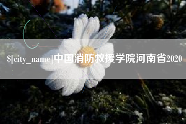 灌云中国消防救援学院河南省2020